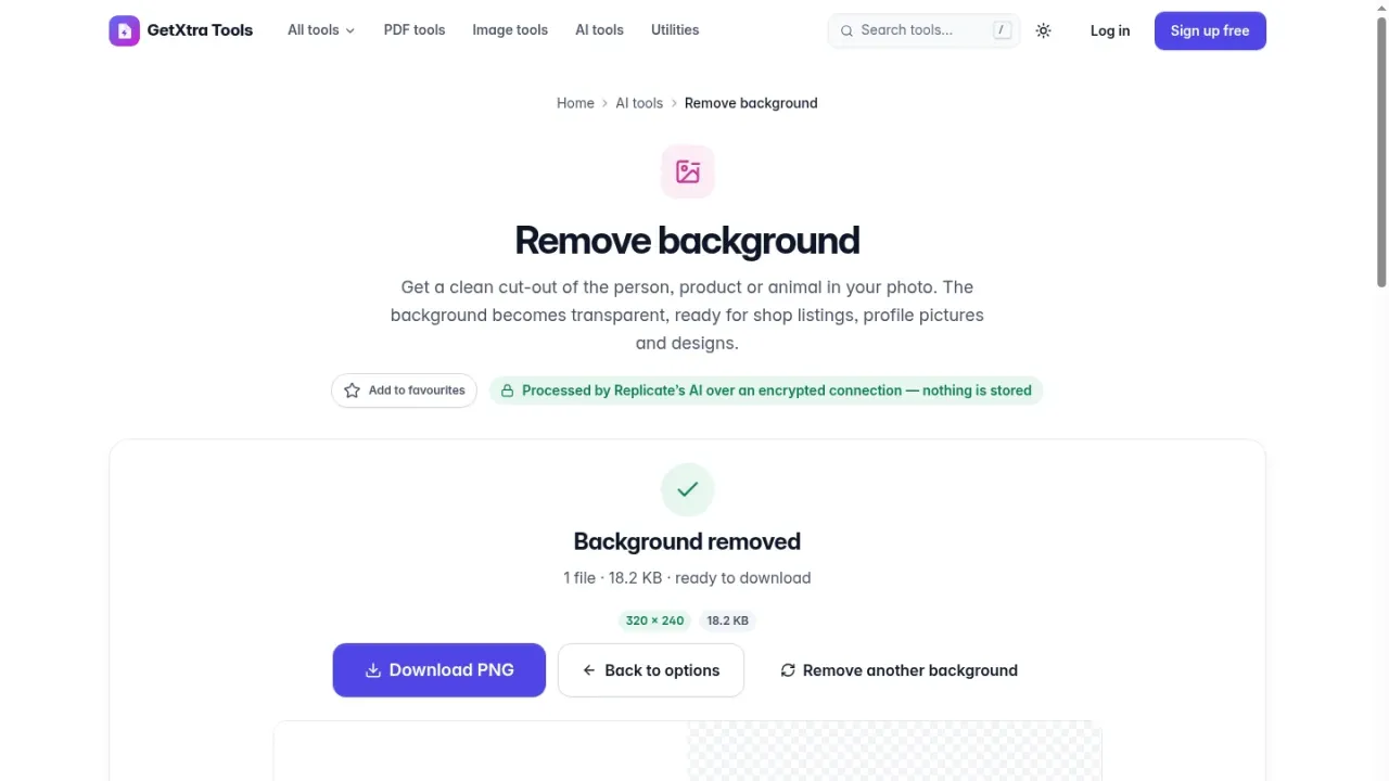 AI background remover: a photo with its background removed